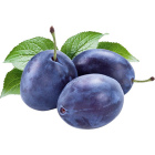 Слива сезонная, 1 кг1