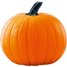 Тыква в ассортименте, 1 кг1