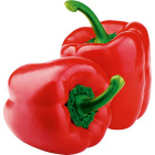 Перец красный1