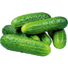 Огурцы короткоплодные, упаковка, 450 г1