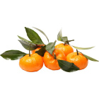 Мандарины мини, 1 кг1