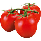 Томаты сливовидные Фламенко1