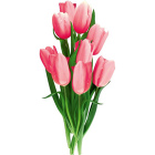 Cкидка Букет тюльпанов<br>- 9 шт. – 699,99 руб.<br>- 15 шт. – 1149,99 руб.. Акционный товар в каталоге