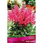 Cкидка Корневища растений микс. Акционный товар в каталоге