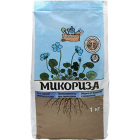 Микориза1