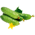 Огурцы ТСХ, 1 кг1