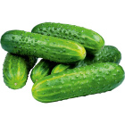 Огурцы короткоплодные, 1 кг1