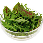 Салат микс, упаковка, 100 г1