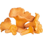 Лисички, упаковка, 250 г1