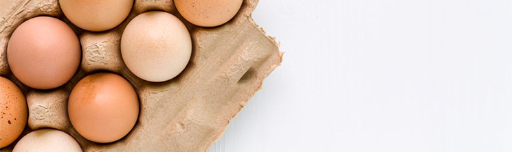 Если свет отключили: как сохранить свежесть яиц без холодильника