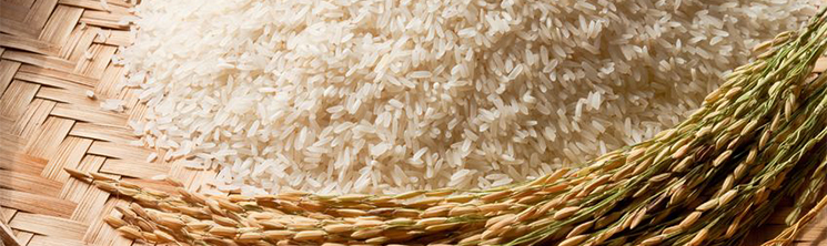 Разнообразный гарнир: необычные сорта риса
