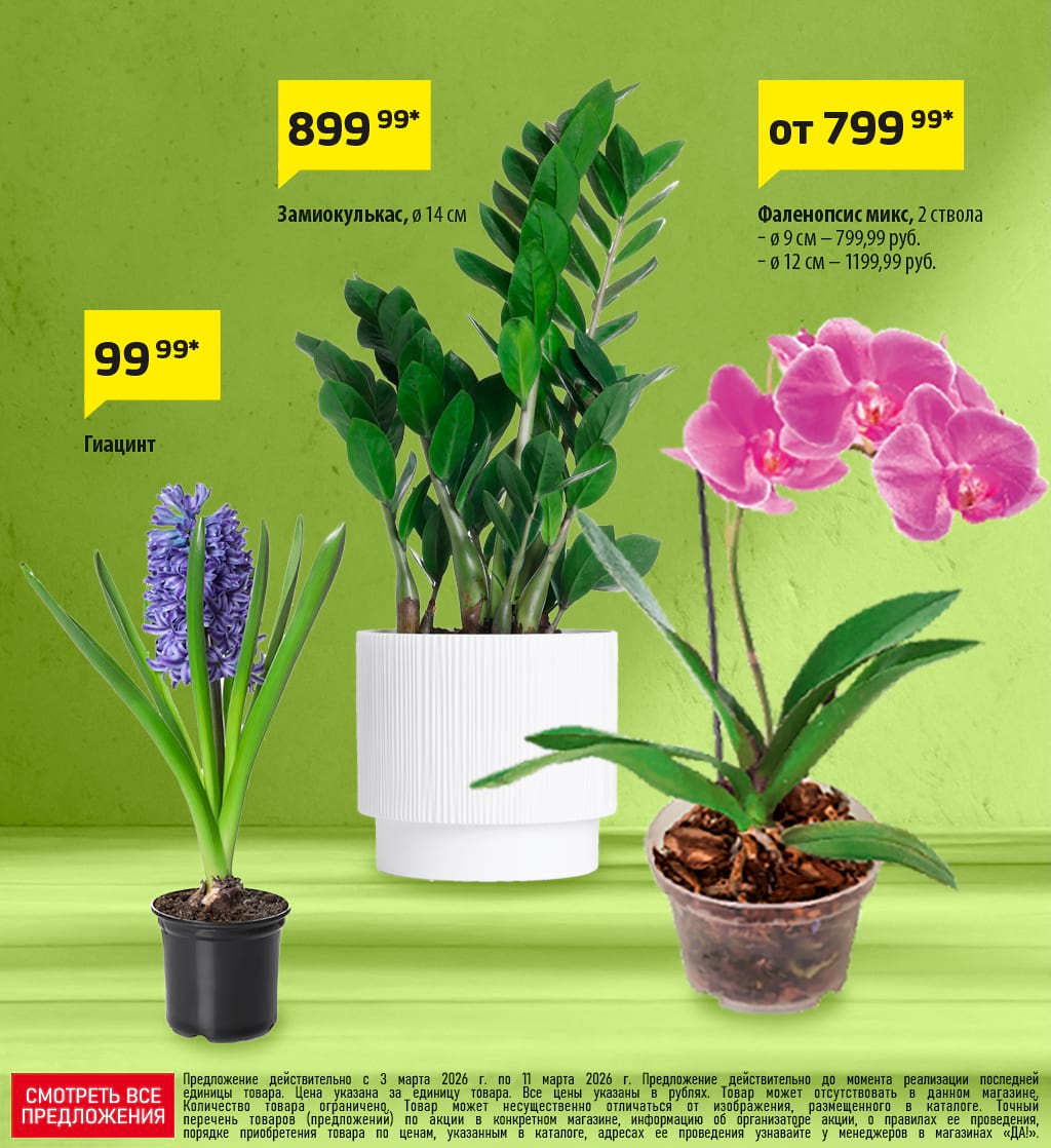 Cкидка . Акционный товар в каталоге