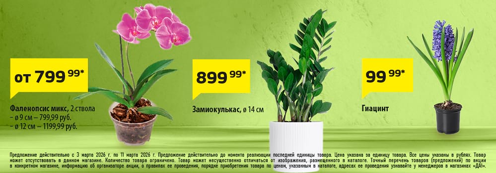 Cкидка . Акционный товар в каталоге