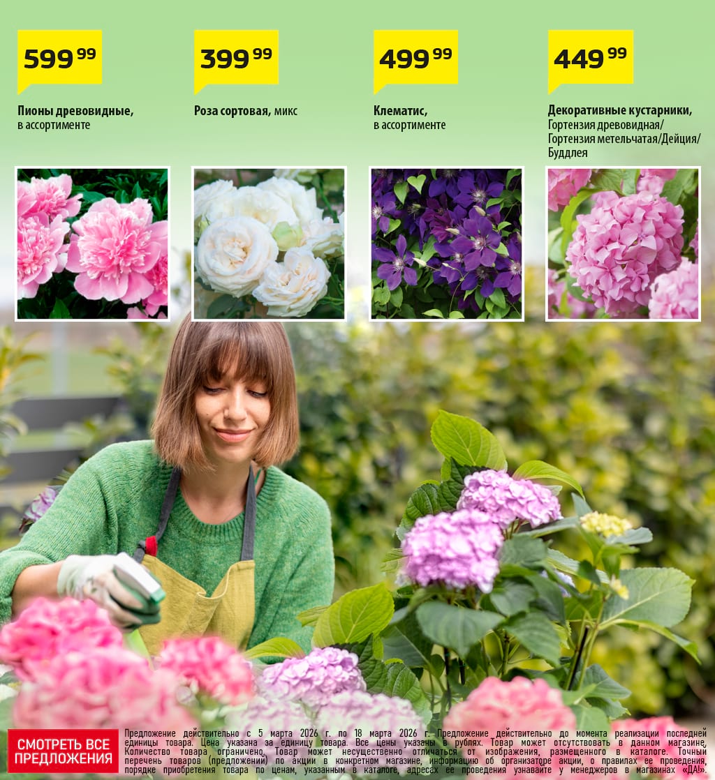 Cкидка . Акционный товар в каталоге