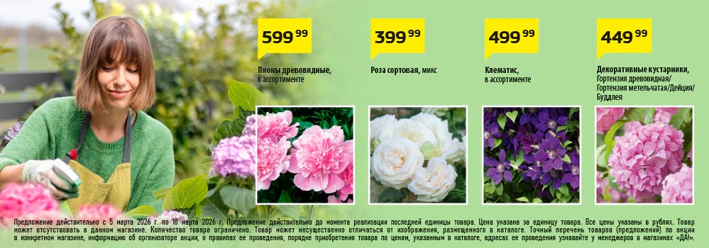 Cкидка . Акционный товар в каталоге