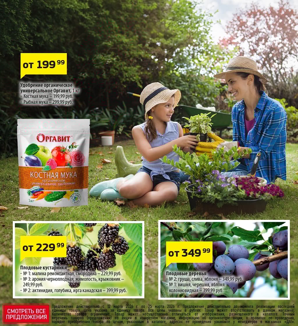 Cкидка . Акционный товар в каталоге