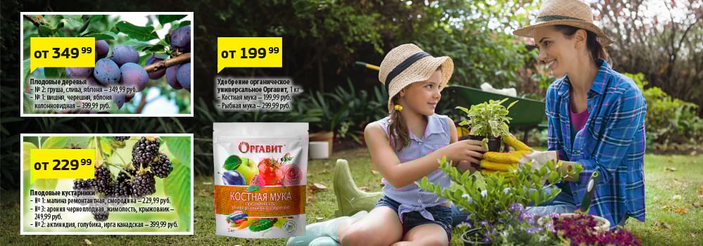 Cкидка . Акционный товар в каталоге