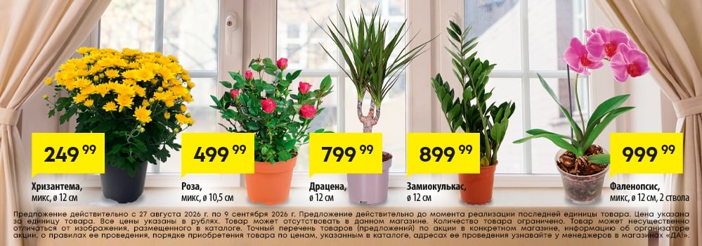 Cкидка . Акционный товар в каталоге